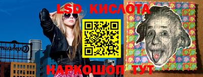 spice Котовск