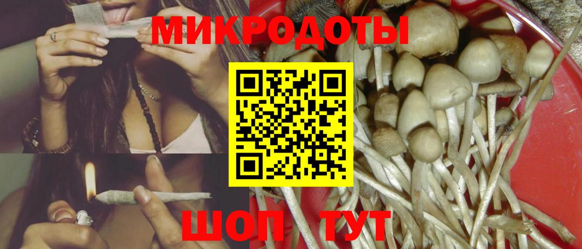 Псилоцибиновые грибы мицелий Мичуринск